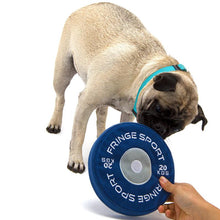 Load image into Gallery viewer, Weight Plate Dog Chew Toy