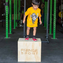 Load image into Gallery viewer, Ultimate Kid's Gym Starter Package