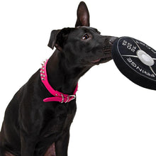 Load image into Gallery viewer, Weight Plate Dog Chew Toy