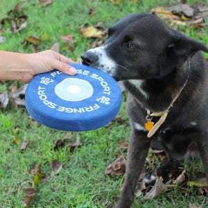 Weight Plate Dog Chew Toy