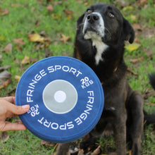 Load image into Gallery viewer, Weight Plate Dog Chew Toy
