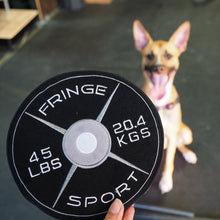 Load image into Gallery viewer, Weight Plate Dog Chew Toy
